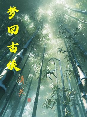 小裁缝与大军阀在线阅读