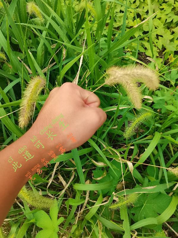 九天苍穹变 落寞的影子