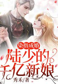 染指成婚，陆少的千亿新娘